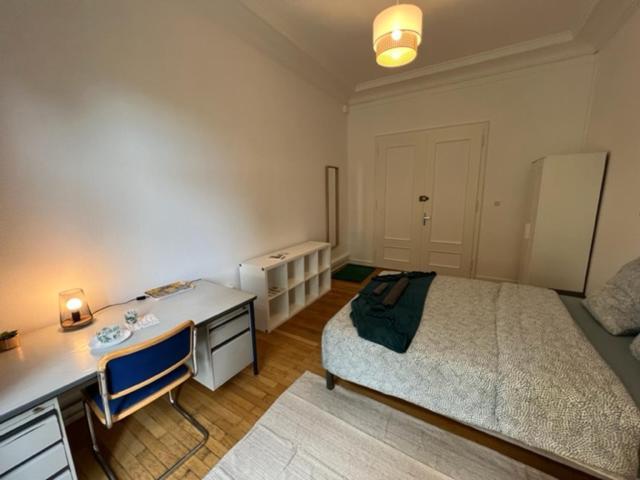Chambres Privees -Private Room- Dans Un Spacieux Appartement - 100M2 Centre Proche Gare Mulhouse Dış mekan fotoğraf
