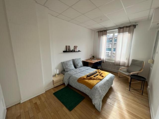 Chambres Privees -Private Room- Dans Un Spacieux Appartement - 100M2 Centre Proche Gare Mulhouse Dış mekan fotoğraf